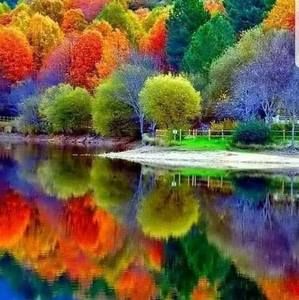 Meet your Posher, Dawn